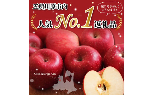 【2024年12月後半発送】 りんご 青森産 約5kg 丸福 サンふじ 光センサー 選果 糖度 13度以上