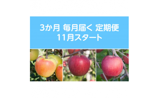 ＜発送月固定定期便＞〈2024年11月より順次発送〉甘味系・青森県産りんご約3kg 全3回【4051689】