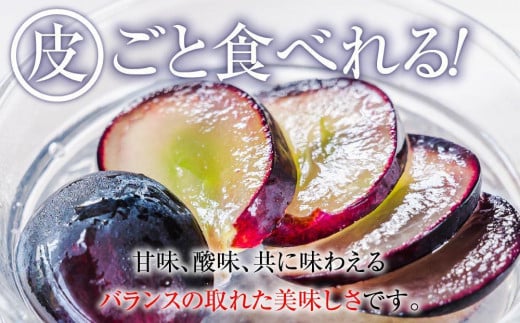 2024 ナガノパープル【訳あり粒抜け等】　房複数　約1キロ　長野県産  【9月末頃～順次発送予定】国際特許有機肥料栽培