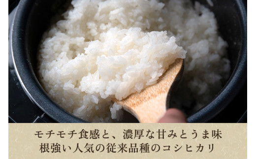 【令和6年産新米先行予約】【定期便6ヶ月毎月お届け】化学肥料未使用の従来コシヒカリ【壱の蔵5kg】特別栽培 有機肥料で育った厳選米 加茂市 新潟サトウ農園