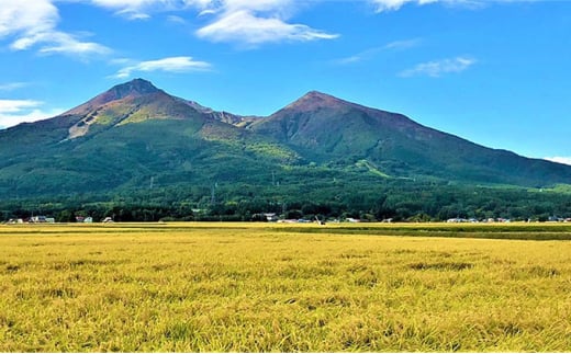 令和6年産 福島県産 あさか舞ひとめぼれ 精米10kg（5kg×2袋）