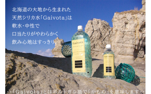 ＜Gaivota　1箱（2L×6本/箱）＞北のハイグレード食品 天然シリカ水  ミネラルウォーター  軟水 北海道産 北海道 乙部町 天然水 美容 ケイ素 無添加 シリカ ガイヴォータ 美肌 ミネラル 口当たり まろやか 備蓄 災害用 非常用