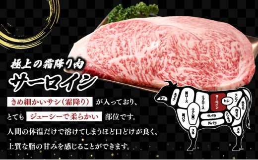 ★高級部位★【佐賀牛】ヒレとサーロインの食べ比べセット サイコロステーキ 200g×2P 牛肉 黒毛和牛 赤身 おすすめ おかず 人気 国産 高級 ステーキ肉 A4 A5 記念日 お祝い 贈り物 プレゼント ギフト 贈答 ご褒美 お取り寄せ 上峰町