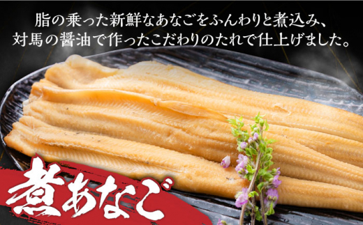 【全2回定期便】対馬 産 活〆 あなご セット《対馬市》【対馬地域商社】九州 長崎 煮あなご 佃煮 アナゴ [WAC053]