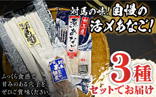 【全2回定期便】対馬 産 活〆 あなご セット《対馬市》【対馬地域商社】九州 長崎 煮あなご 佃煮 アナゴ [WAC053]