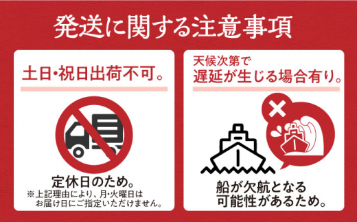 【全2回定期便】対馬 産 活〆 あなご セット《対馬市》【対馬地域商社】九州 長崎 煮あなご 佃煮 アナゴ [WAC053]