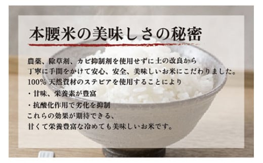 【新米】令和6年産 本腰米10kg 玄米 千葉県産コシヒカリ 農薬不使用 お米 10kg 千葉県産 大網白里市 コシヒカリ 農薬不使用 米 玄米 こめ 送料無料