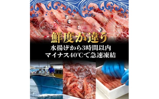 天然タカエビ250g×3箱　A1-1_ エビ 甘エビ 海老 あまえび 天然 海鮮 魚介類 甘海老 冷凍 刺身 【1524606】