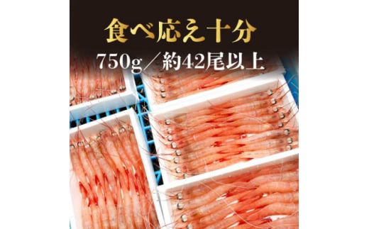 天然タカエビ250g×3箱　A1-1_ エビ 甘エビ 海老 あまえび 天然 海鮮 魚介類 甘海老 冷凍 刺身 【1524606】