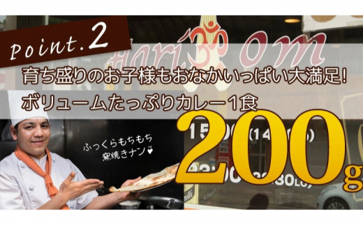 インドカレー 激辛カレー3種とプレーンナン3枚セット