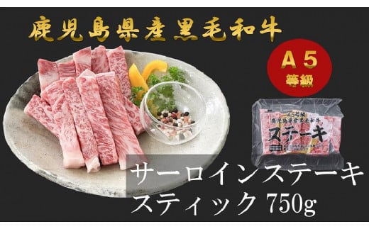 【特選定期便】隔月６回お届け　A5等級鹿児島県産黒毛和牛食べ比べ