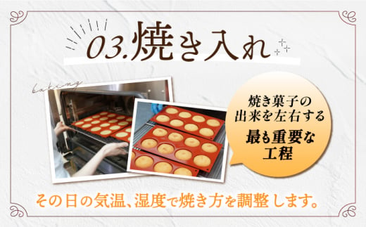 スイーツ ショコラサンド チョコレート ストロベリー 焼き菓子 洋菓子 お菓子 セット 詰め合わせ 詰合せ ギフト 冷凍 定期便