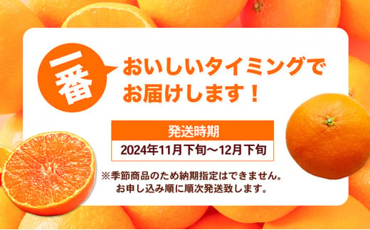 愛媛県産紅まどんな（赤秀限定）[50R0975] 【高島屋選定品】約2.7kg 赤秀3L～Lサイズ（10～15玉） 柑橘 みかん 甘い 高級品 正規品 [№5310-0048]