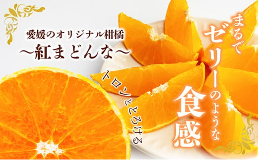 愛媛県産紅まどんな（赤秀限定）[50R0975] 【高島屋選定品】約2.7kg 赤秀3L～Lサイズ（10～15玉） 柑橘 みかん 甘い 高級品 正規品 [№5310-0048]