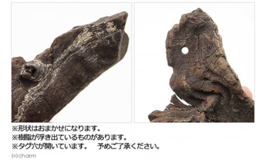 塊状流木 Sサイズ（約15cm～20cm）3個