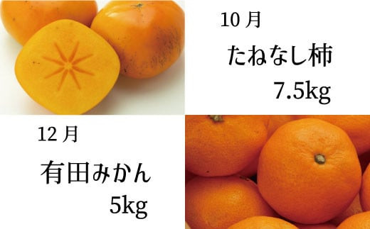 【全6回定期便】偶数月にお届け♪和歌山のフルーツ堪能定期便！不知火・木成り八朔・すいか・巨峰・たねなし柿・有田みかん【tkb133】