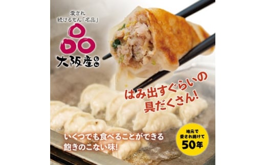 ＜大阪産(もん)名品＞雁飯店の生餃子(冷凍)96個餃子(たれなし)【1369738】