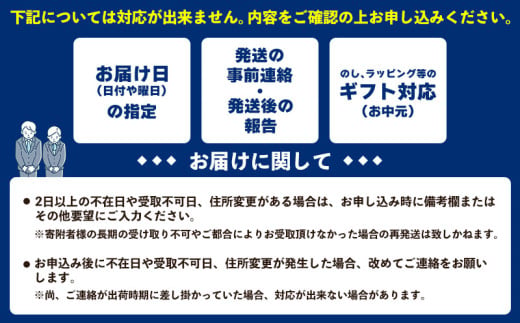 【2025年発送】本部町産アップルバナナ　1.5kg以上 南国 沖縄 おきなわ 果実 フルーツ 青果 期間限定 先行予約 数量限定 旬 人気 おすすめ 贈答 プレゼント ギフト 贈り物 カクテル デザート 取り寄せ 高級