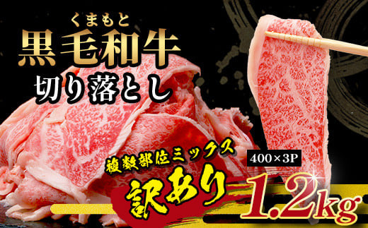 【定期便6回】訳あり くまもと黒毛和牛 切り落とし 1.2kg 