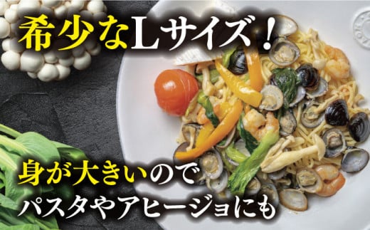 宍道湖産 冷凍大和しじみ 砂抜き済 Lサイズ800g×6袋(4.8kg) 島根県松江市/しじみ市場株式会社 [ALDK003]