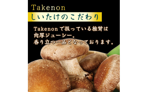 生しいたけ 小分け 袋 1kg 生 しいたけ シイタケ 椎茸 大ぶり 朝 収穫 食べ応え 厚い 肉厚 うまみ 菌床 栽培期間中 農薬不使用 個包装 