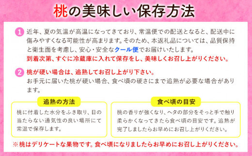 桃【2025年先行予約】 岡山の桃 約1.3kg(4～8玉)《2025年6月下旬-9月上旬頃出荷》 岡山県 矢掛町 桃 もも 先行予約 もも 白鳳 もも 桃 先行予約 桃 先行予約 桃 