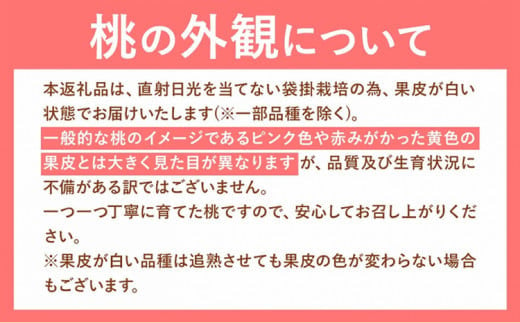 桃【2025年先行予約】 岡山の桃 約1.3kg(4～8玉)《2025年6月下旬-9月上旬頃出荷》 岡山県 矢掛町 桃 もも 先行予約 もも 白鳳 もも 桃 先行予約 桃 先行予約 桃 