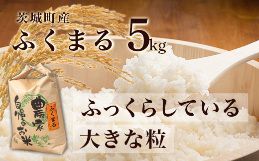 170茨城町産ふくまる5kg 令和6年産