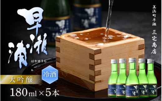 【早瀬浦】大吟醸冷用酒180ml × 5本 セット【入手困難 山田錦 大吟醸 冷酒 日本酒 地酒 福井 美浜 早瀬 フルーティ 男酒 硬水 ミネラル 希少 ご褒美 家飲み 就職祝い 転職祝い ハレの日】 [m16-a024]