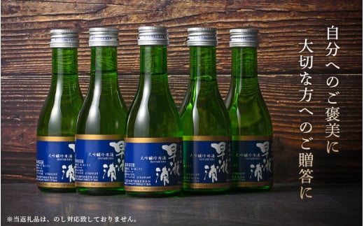 【早瀬浦】大吟醸冷用酒180ml × 5本 セット【入手困難 山田錦 大吟醸 冷酒 日本酒 地酒 福井 美浜 早瀬 フルーティ 男酒 硬水 ミネラル 希少 ご褒美 家飲み 就職祝い 転職祝い ハレの日】 [m16-a024]