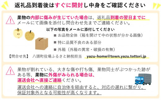 【訳あり】鳥取県産旬の梨 3kg