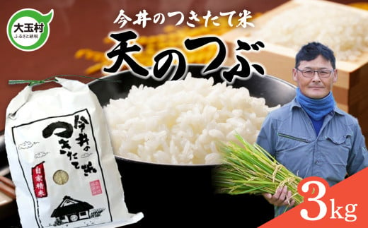 【 令和6年産 新米 】【 今井のつきたて米 】 天のつぶ ３ｋｇ 福島県 大玉村 てんのつぶ テンノツブ 米 今井農園 ｜ OT08-019-R6