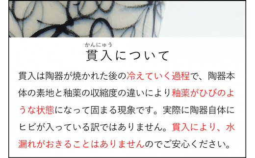 有田焼 福5寸桔梗皿2セット 24to3 西富陶磁器 A25-312