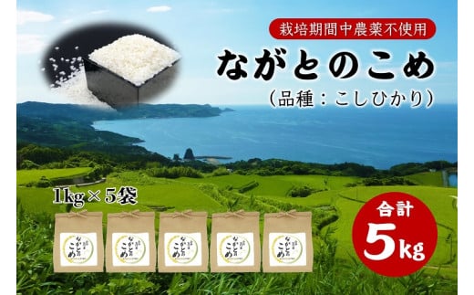 ながとのこめ こしひかり 白米 1kg×5袋 合計5kg コシヒカリ 小分け 精米 長門市 令和6年度産