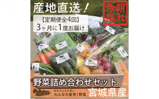 【定期便全4回】3ヶ月に1度お届け！岩沼みんなの家の「みんなの直売！野菜」セット詰め合わせ隔月4回 [№5704-0640]