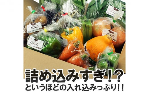 【定期便全4回】3ヶ月に1度お届け！岩沼みんなの家の「みんなの直売！野菜」セット詰め合わせ隔月4回 [№5704-0640]