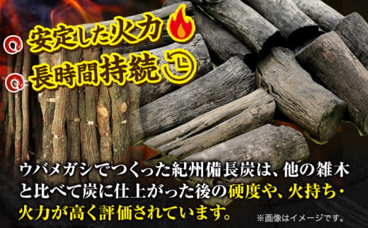 紀州備長炭 訳あり 約4kg 望商店 《30日以内に出荷予定(土日祝除く)》 和歌山県 日高川町 備長炭 紀州備長炭 炭 約4kg 高級白炭 BBQ 焼肉 炭火焼き キャンプ レジャー 囲炉裏 国産 備長炭 川遊び ロッジ 行楽 安全 安心 火起こし 大活躍
