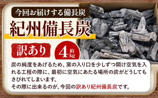 紀州備長炭 訳あり 約4kg 望商店 《30日以内に出荷予定(土日祝除く)》 和歌山県 日高川町 備長炭 紀州備長炭 炭 約4kg 高級白炭 BBQ 焼肉 炭火焼き キャンプ レジャー 囲炉裏 国産 備長炭 川遊び ロッジ 行楽 安全 安心 火起こし 大活躍
