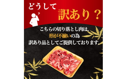 【3月発送】訳あり 近江牛 焼肉用 切り落とし 400g 冷凍 黒毛和牛 ( わけあり 切り落し 和牛 10000円 ブランド牛 ごはんのお供 牛肉 和牛 惣菜 おかず 焼き肉 焼肉 切落し 贈り物 ギフト 国産 滋賀県 竜王町 岡喜 神戸牛 松阪牛 に並ぶ 日本三大和牛 ふるさと納税 )