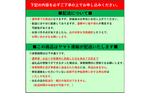 A-171 丸ごとリンゴバウム