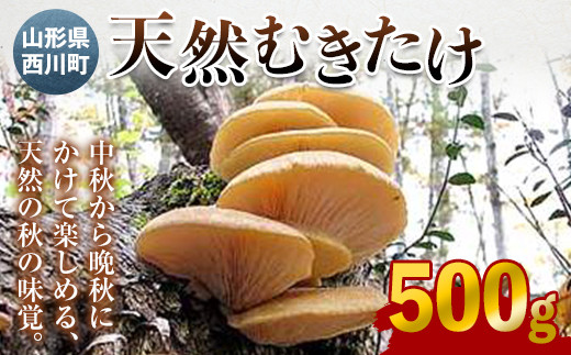 FYN9-030【先行予約】山形県西川町産 天然むきたけ 500g