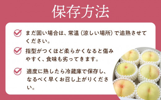 桃 2025年 先行予約 ご家庭用 岡山 白桃 早生、中生種 約1.4kg（4～6玉） もも モモ 岡山県 岡山市産 国産 フルーツ 果物