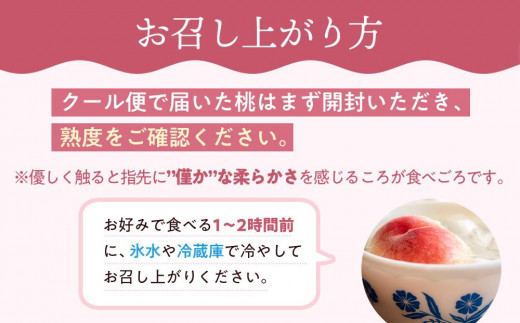 桃 2025年 先行予約 ご家庭用 岡山 白桃 早生、中生種 約1.4kg（4～6玉） もも モモ 岡山県 岡山市産 国産 フルーツ 果物