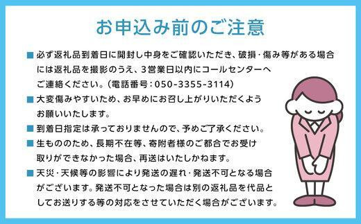 桃 2025年 先行予約 ご家庭用 岡山 白桃 早生、中生種 約1.4kg（4～6玉） もも モモ 岡山県 岡山市産 国産 フルーツ 果物