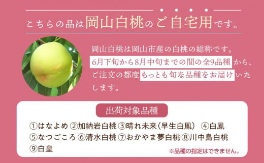 桃 2025年 先行予約 ご家庭用 岡山 白桃 早生、中生種 約1.4kg（4～6玉） もも モモ 岡山県 岡山市産 国産 フルーツ 果物