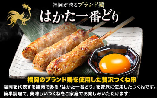 はかた一番どり つくね串 20本《1-5営業日以内に出荷予定(土日祝除く)》福岡県 鞍手町 つくね串 つくね 串 食べ比べ 惣菜 冷凍食品 送料無料