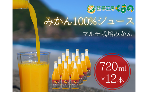 糖度12度以上【 マルチ栽培 みかん ストレートジュース 12本 】720ml × 12本 段ボール箱 温州 みかん 100% オレンジジュース ご自宅用 子供 三重県 熊野市