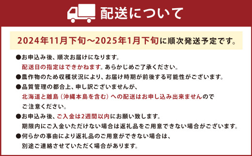 福岡産【冬】あまおう4パック 【2024年11月下旬～2025年1月下旬発送予定】