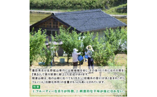 朝倉山椒　兵庫県養父市産　冷凍　500g【1409907】