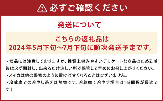 小玉スイカ 3Lサイズ以上 2玉入り 益城町